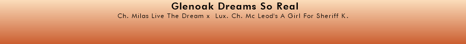 Glenoak Dreams So Real Ch. Milas Live The Dream x Lux. Ch. Mc Leod's A Girl For Sheriff K. 