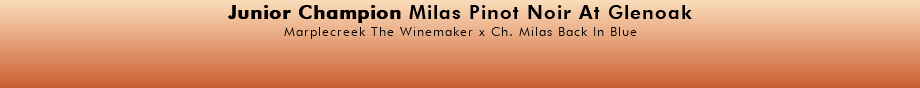 Junior Champion Milas Pinot Noir At Glenoak Marplecreek The Winemaker x Ch. Milas Back In Blue 