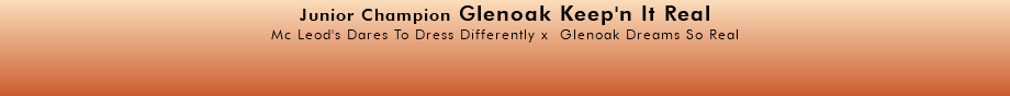 Junior Champion Glenoak Keep'n It Real Mc Leod's Dares To Dress Differently x Glenoak Dreams So Real 