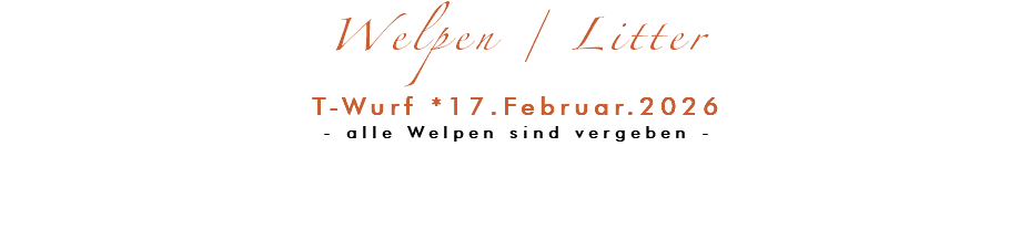 Welpen / Litter T-Wurf *17.Februar.2026 - alle Welpen sind vergeben - 