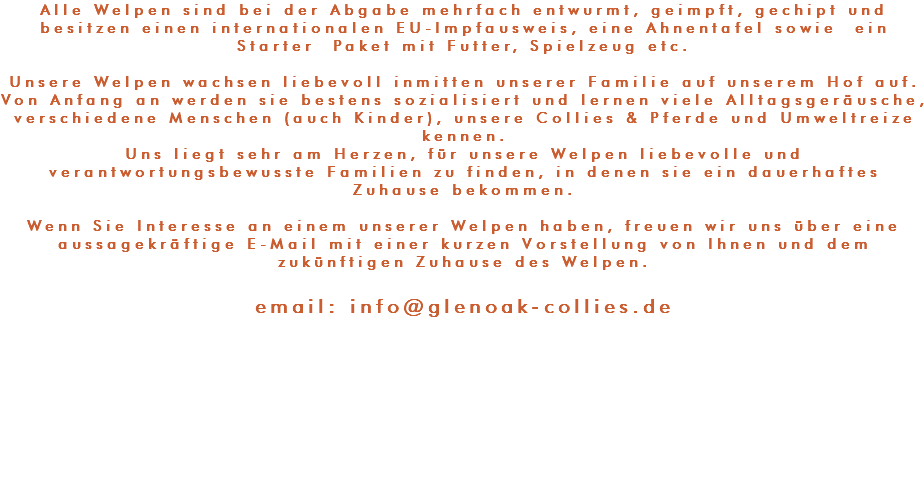 Alle Welpen sind bei der Abgabe mehrfach entwurmt, geimpft, gechipt und besitzen einen internationalen EU-Impfausweis, eine Ahnentafel sowie ein Starter Paket mit Futter, Spielzeug etc. Unsere Welpen wachsen liebevoll inmitten unserer Familie auf unserem Hof auf. Von Anfang an werden sie bestens sozialisiert und lernen viele Alltagsgeräusche, verschiedene Menschen (auch Kinder), unsere Collies & Pferde und Umweltreize kennen. Uns liegt sehr am Herzen, für unsere Welpen liebevolle und verantwortungsbewusste Familien zu finden, in denen sie ein dauerhaftes Zuhause bekommen. Wenn Sie Interesse an einem unserer Welpen haben, freuen wir uns über eine aussagekräftige E-Mail mit einer kurzen Vorstellung von Ihnen und dem zukünftigen Zuhause des Welpen. email: info@glenoak-collies.de
